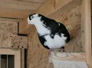 IMG-20200111-WA0055