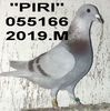 2019.055166.