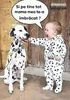 IMG-20200215-WA0025