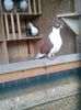 received_983057632080848