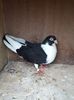 received_2728336947248692