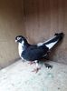 received_640625443348861