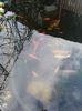 IMG-20200221-WA0007