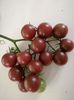 Cherry chocolate