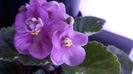 IMG-20191004-WA0003