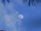 Luna in crestere in Leu