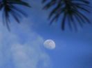 Luna in crestere in Leu