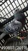 IMG-20200307-WA0008