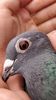 IMG-20200307-WA0007