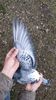 IMG-20200307-WA0003