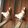 PhotoCollage_1583692572951