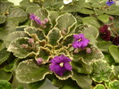 P1210775