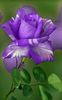 873722b4966cd832e11a7cc1fac01ec0