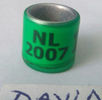 2007-Olanda