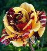 073ba2cb54da9695217aba2404ad8cd3