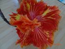 Tahitian Baby Bonfire