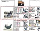 2019-653995-BEC+55180 GILDA