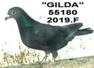 2019.55180 GUTA