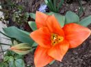 IMG-20200330-WA0058