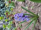 IMG-20200330-WA0053