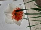 IMG-20200330-WA0051