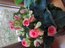 IMG-20200330-WA0049