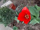 IMG-20200330-WA0043