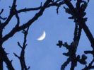 Luna in crestere in Gemeni