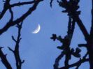 Luna in crestere in Gemeni
