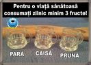 IMG-20200409-WA0020
