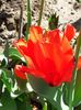 20200415_143738(0)
