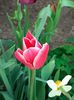 20200416_171411(0)