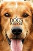 137.A Dog's Purpose