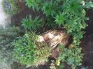 IMG-20200422-WA0031