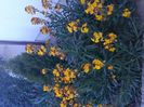 IMG-20200416-WA0037