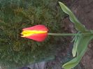 IMG-20200422-WA0029
