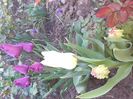 IMG-20200422-WA0024