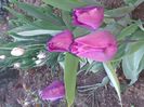 IMG-20200422-WA0021