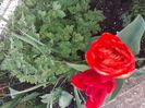 IMG-20200422-WA0018
