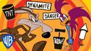 Road Runner And Wile E Coyote