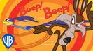 Road Runner And Wile E Coyote