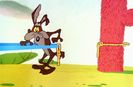 Road Runner And Wile E Coyote