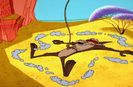 Road Runner And Wile E Coyote