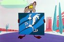 Road Runner And Wile E Coyote