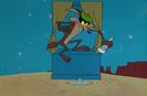 Road Runner And Wile E Coyote