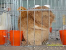 SDC12627