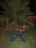 Picture 13221