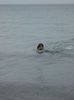 Picture 13255