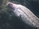 Picture 13410