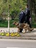 IMG-20200426-WA0010